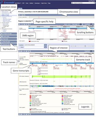 Accessing Livestock Resources in Ensembl